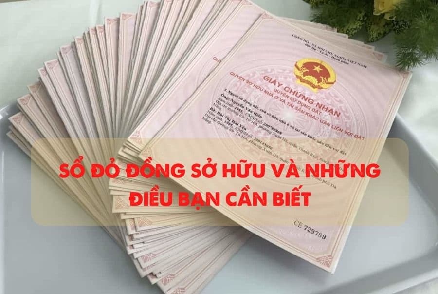 Sổ Đỏ Đồng Sở Hữu: Tất Tần Tật Quy Định, Thủ Tục và Lưu Ý Quan Trọng 2024