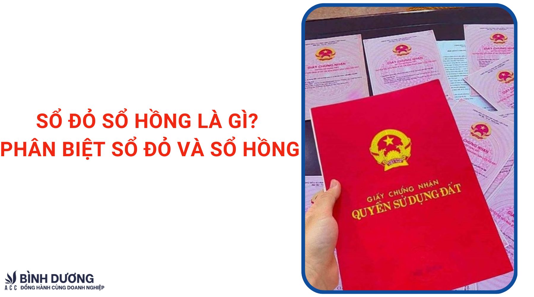 Sổ hồng và quy định về mục đích sử dụng đất