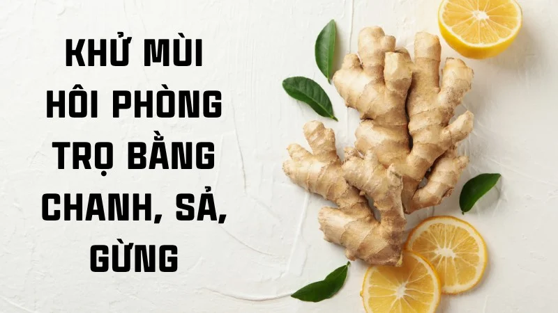 Khử mùi phòng trọ bằng chanh sả gừng và các loại tinh dầu