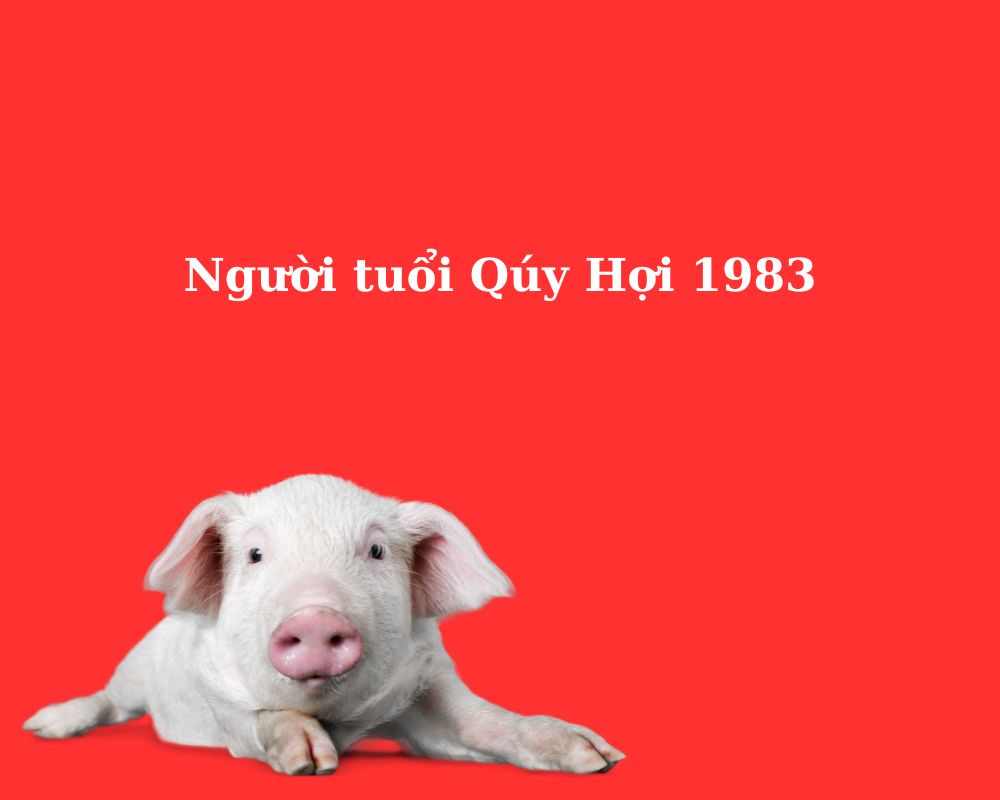 Tuổi Quý Hợi 1983 Làm Nhà Năm 2024 (Giáp Thìn): Luận Giải Phong Thủy & Giải Pháp Toàn Diện