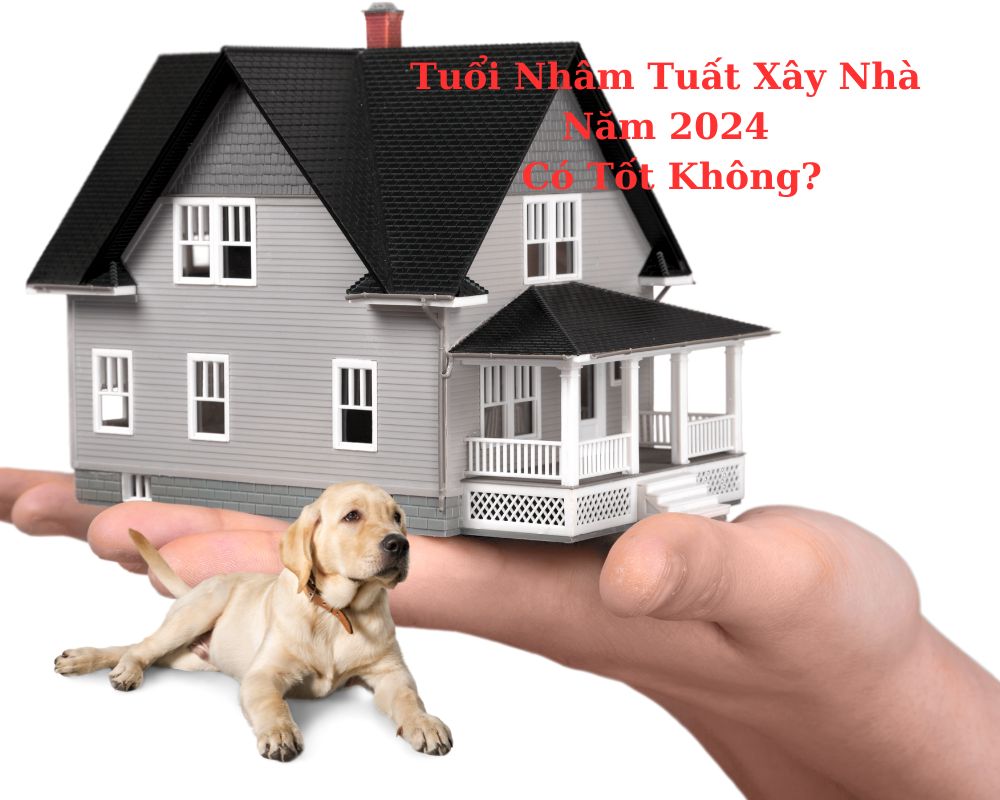 Tuổi Nhâm Tuất 1982 xây nhà năm 2024